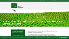 Details : Cambio Consulting